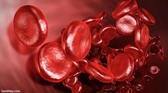 Naikkan Trombosit Darah dengan 9 Cara Alami dan Enak Ini Yuk