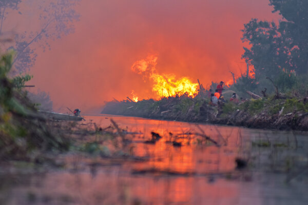 Titik Api di Riau Bertambah