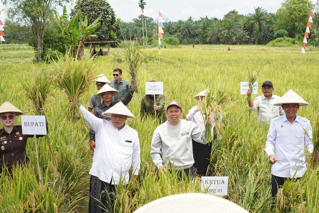 Sultan Turun ke Sawah, Serahkan Alsintan dan Benih Jagung untuk Petani Bengkulu