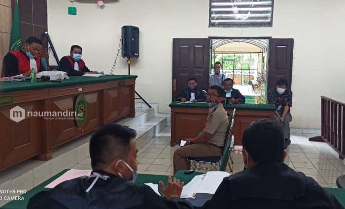 Saksi Ahli dari DLHK Riau Beratkan PT Adei Dalam Kasus Karhutla di Pelalawan