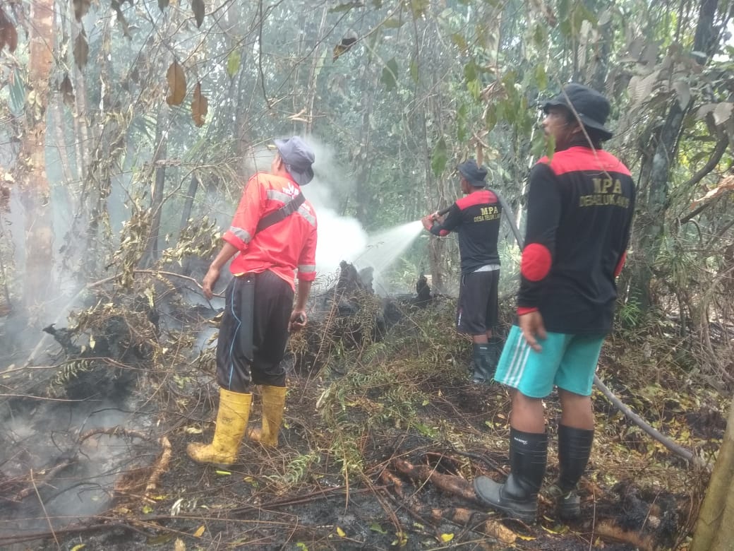 6 Hektar Lahan Terbakar di Kampung Teluk Lanus Siak