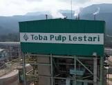 Juru Bicara Luhut Bantah Bukan Pemilik Toba Pulp Lestari