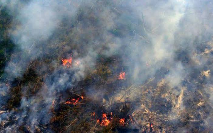 16 Titik Api di Riau Terpantau Sore Ini