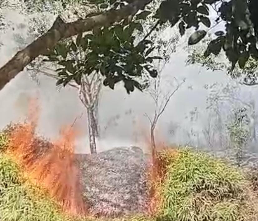 Lima Hektar Lahan di Kuok Terbakar: Termasuk Kebun Karet