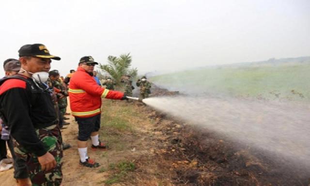 Hafith: SKPD Harus Proaktif Cegah Karhutla