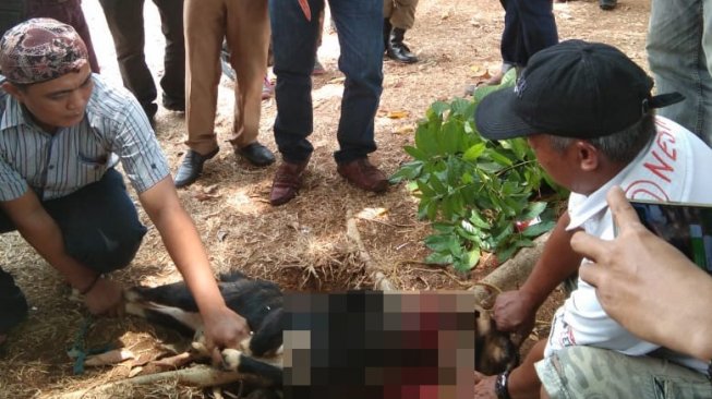 Warga Potong Kambing di Halaman Pemkab, Syukuran Bupati Lampura Ditangkap KPK