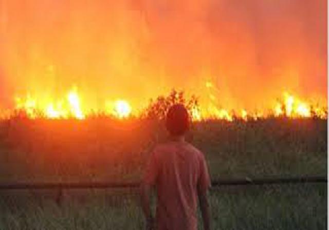 Polda Usut PT SRL dan PT BDL