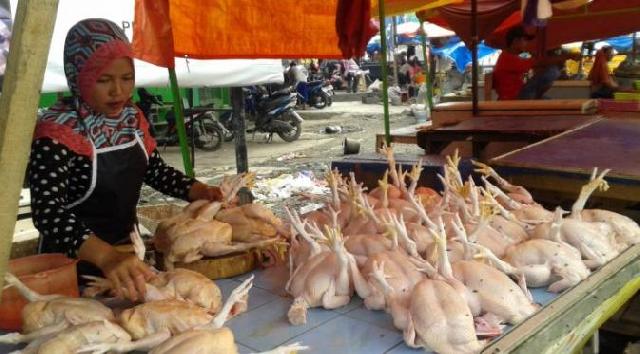 Harga Ayam Potong di Siak Capai Rp 31 Ribu per Kilogram