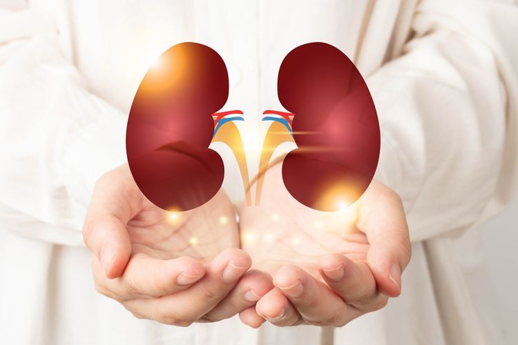 Komisi IX DPR akan Tagih Janji Menkes Santuni Keluraga Korban Gagal Ginjal Akut