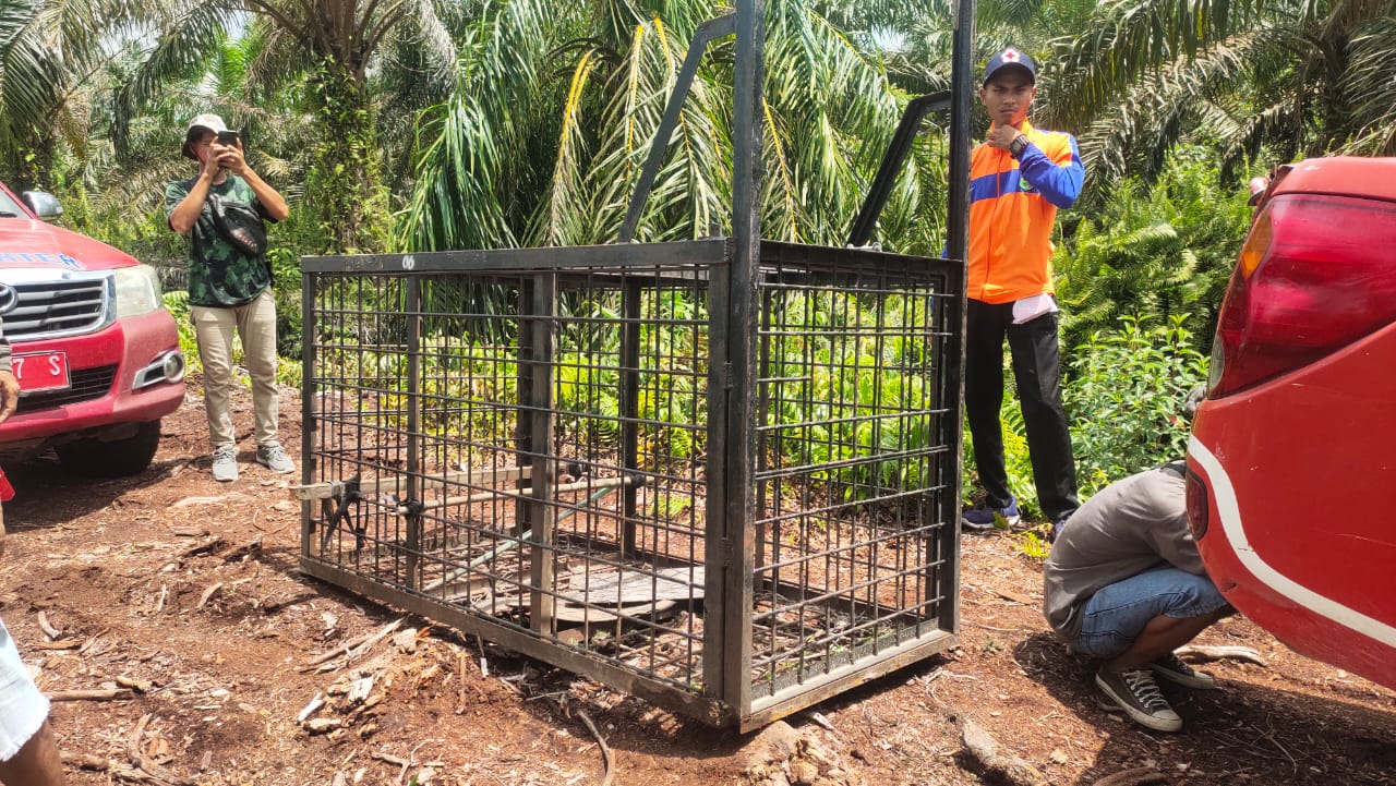 Warga Dihimbau Kurangi Aktivitas Malam Hari