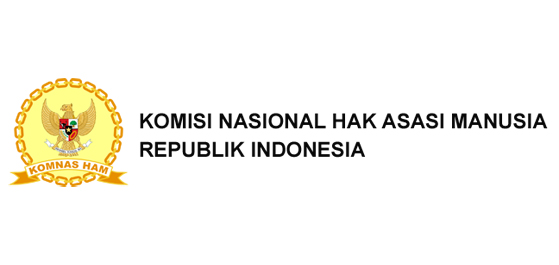 Dugaan Ada Korban Tewas Tertembak, Komnas HAM Lanjutkan Investigasi Kerusuhan Wamena
