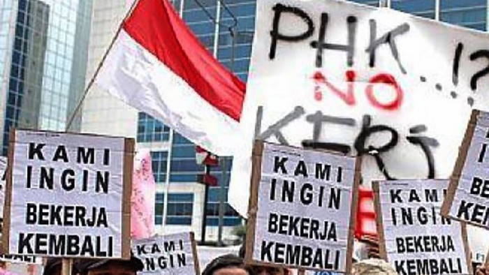 Badai PHK Terjang Indonesia, Bisakah Kartu Pra Kerja Jokowi Jadi Solusi?