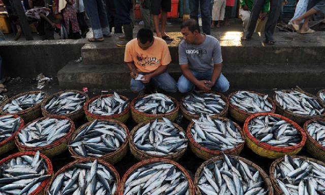 Bongkar Habis dan Bangun Baru Pasar Ikan