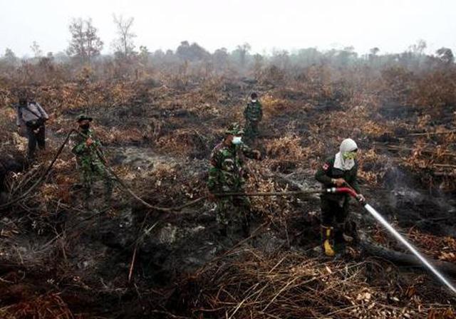 Restorasi Lahan Gambut dan Kabut Asap 2017