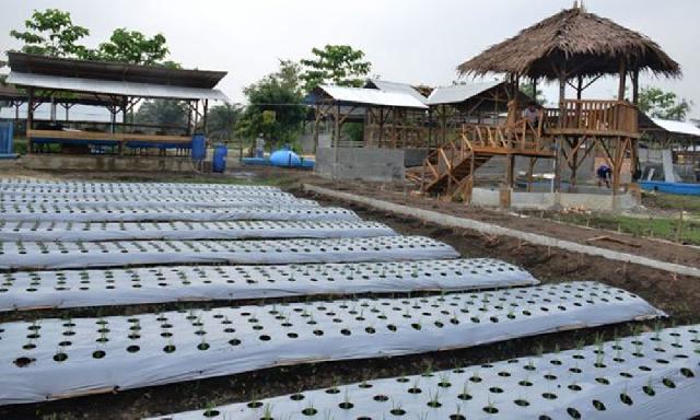 Rumah Mandiri Pangan dan Energi Diresmikan