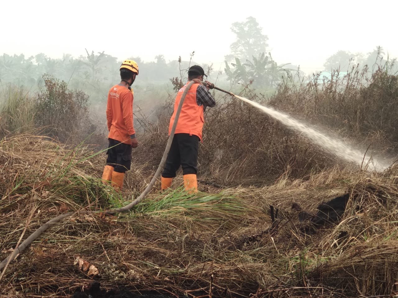 Malaysia akan Evakuasi Mahasiswanya di Riau dan Jambi 
