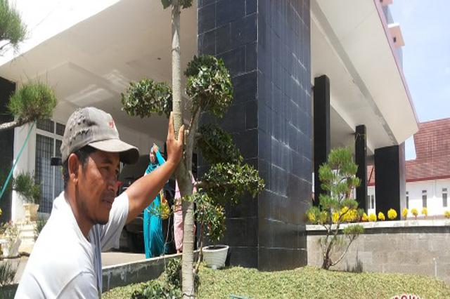 Taman Perkantoran Pemkab Tapsel Dibenahi