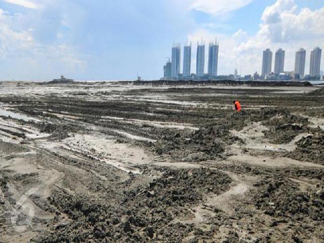 Koalisi Teluk Jakarta Tantang Luhut Selesaikan Kasus Reklamasi