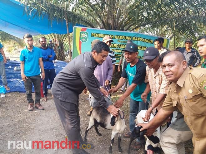 Kunjungi Desa Mandi Angin, Noviwaldy Jusman Sumbangkan 80 Ekor Kambing