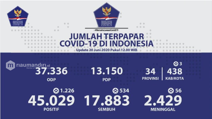 Melonjak 1.226, Total Sudah 45.029 Kasus Positif Corona di Indonesia