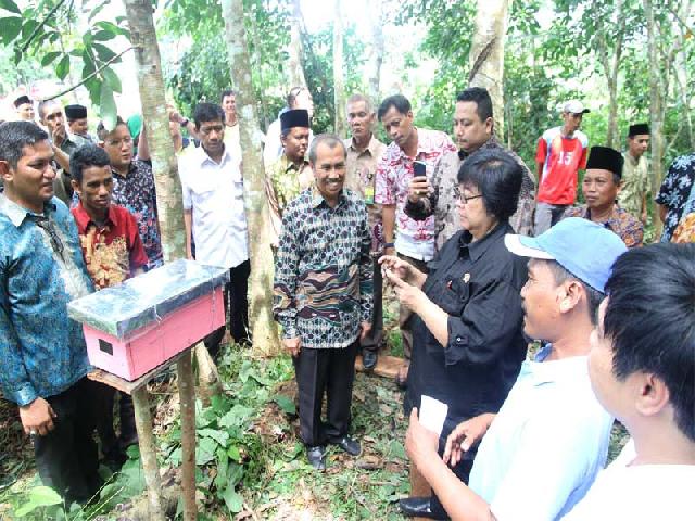 Menteri Siti Nurbaya  Ambil Sampel  Air Sungai Siak