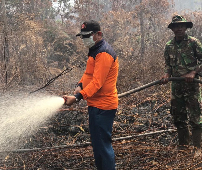 Puluhan Hektare Lahan Terbakar, Sekda Meranti Tinjau Lokasi Karhutla di Desa Sokop