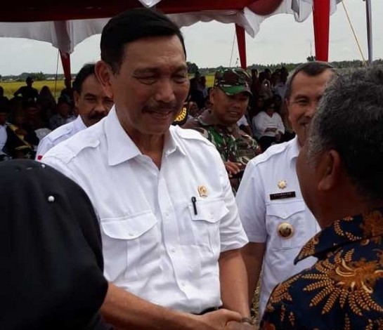 Menteri Luhut Pandjaitan Sebut Syamsuar Sama Seperti Jokowi
