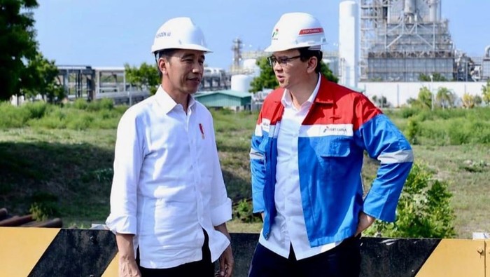 Momen Perdana Ahok Tampil dengan Jokowi Setelah Jabat Komisaris Utama Pertamina