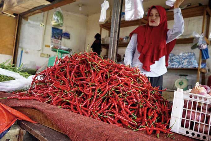 Harga Cabai Merah di Siak Rp130 Ribu per Kg