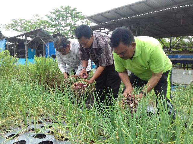 Basri Rasyid: Upaya Kreatif  bagi Masyarakat