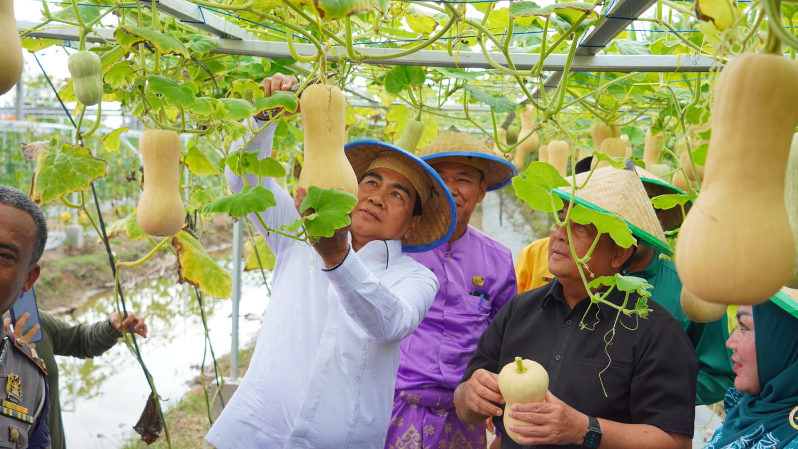 Didampingi Bupati Rohil, Wagubri Panen Buah-buahan di Taman Edukasi Dinas Pertanian