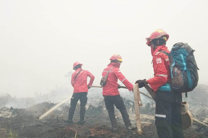 Tim TRC PT AA-APP-Sinar Mas Dukung RPK Bantu Padamkan Karhutla di Bukit Kerikil   