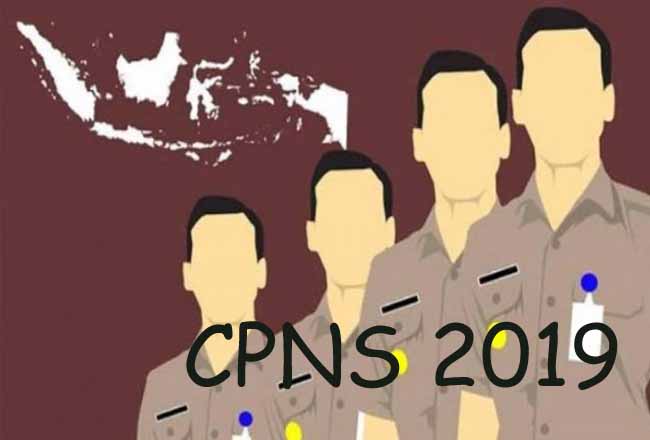 Hasil SKD CPNS Rohul Diumumkan Sebelum Maret 2020