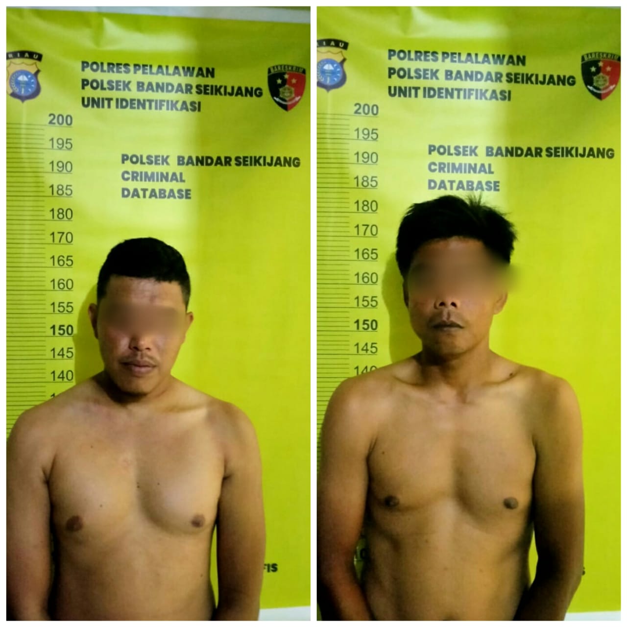 Polisi Pelalawan Tangkap Dua Pencuri Sepeda Motor Asal Pekanbaru