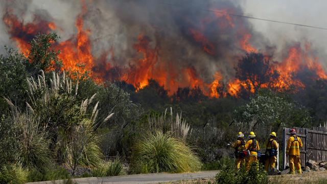 Bamsoet Desak Polri Mengusut Tuntas Pelaku Pembalakan Liar di Pelalawan