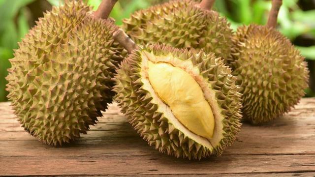 Manfaat Buah Durian dan Kondisi Kesehatan yang Dilarang