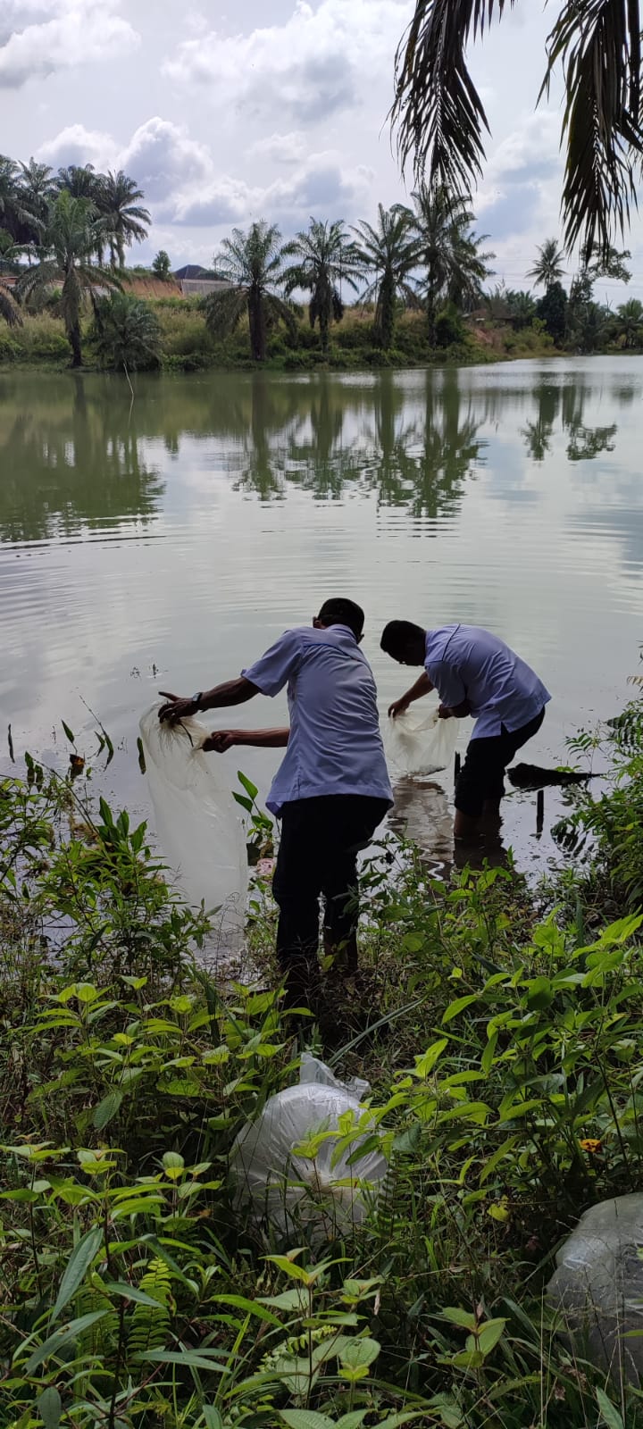 PTPN V Serentak Tebar Satu Juta Bibit Ikan di Riau