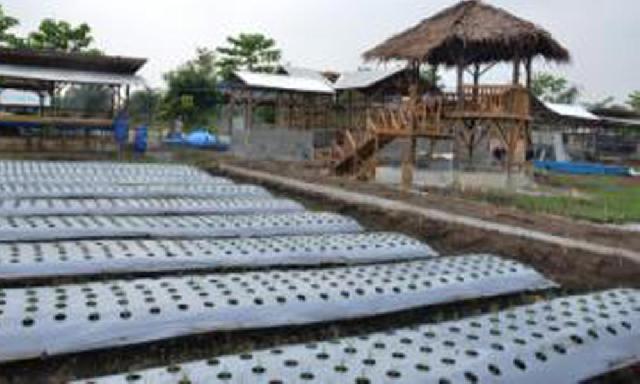 Percontohan RMPE Bukti Keseriusan Pemkab