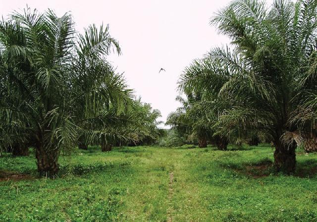 Warga Ikut Penjualan Lahan