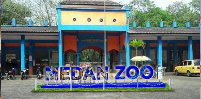 Satwa Harimau Benggala di Medan Zoo Kembali Ditemukan Mati