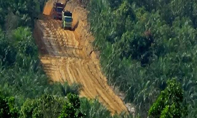 Ekosistem Hutan Lindung Talang  Bakal Hancur