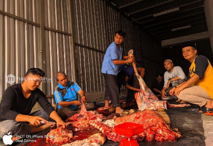 Tanpa Kerumunan dan Antrean, Penyelenggaraan Qurban Diharap Ikuti Protokol Kesehatan