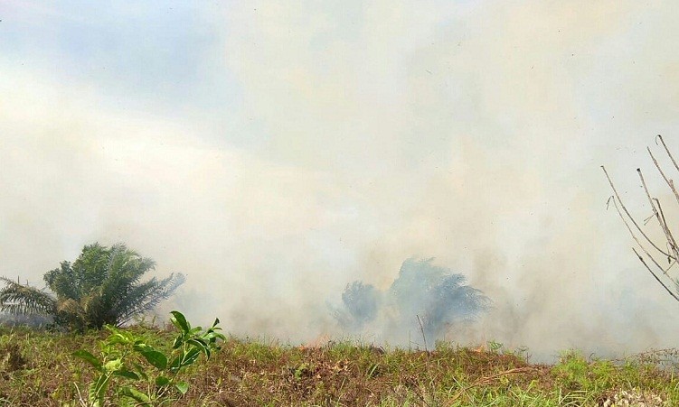 Pernah Bermasalah Hukum, Polisi Selidiki Kebakaran 30 Hektare Lahan PT WSSI di Siak