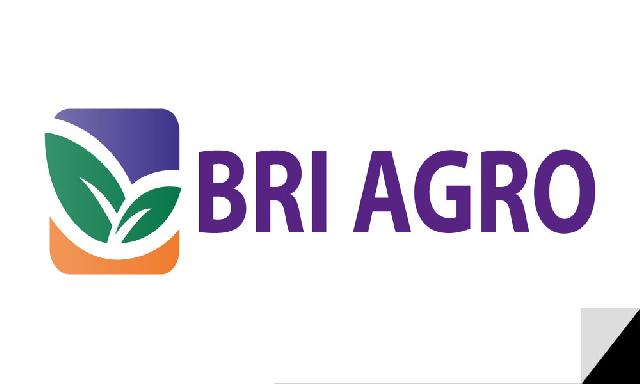 BRI Agro Bagikan Dividen Rp6,07 Miliar