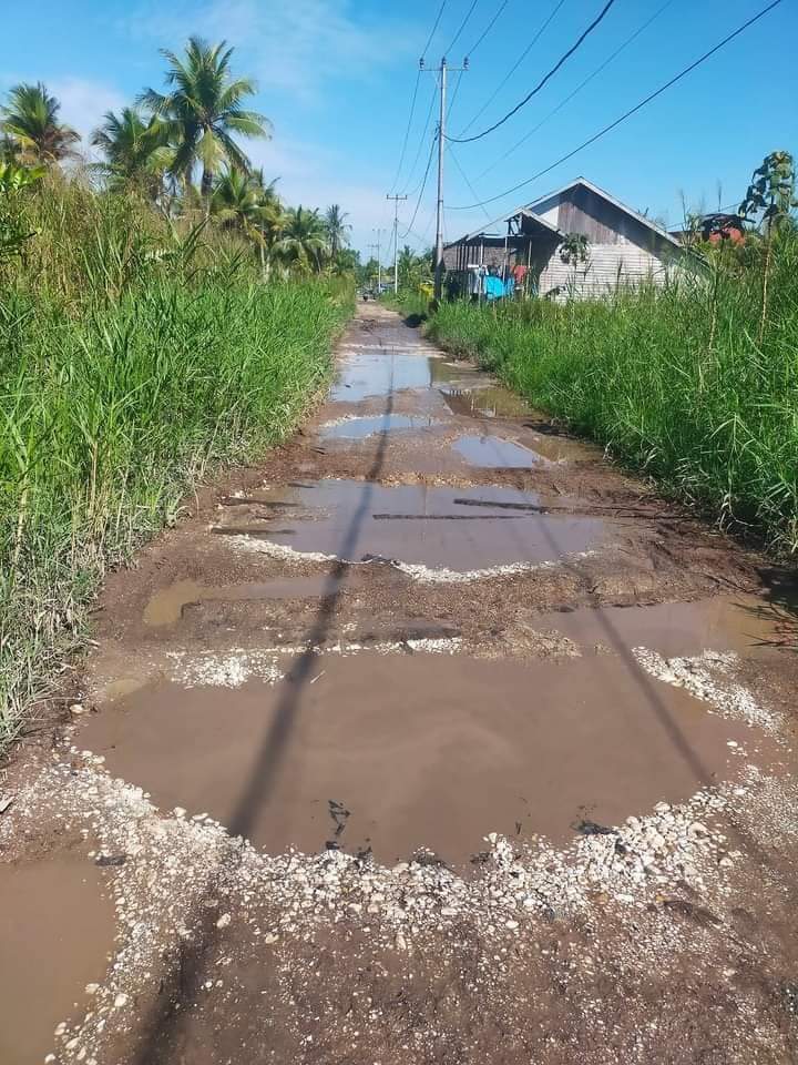 Jalan Penghubung Desa Sungai Luar - Simpang Jaya Semakin Memprihatinkan 