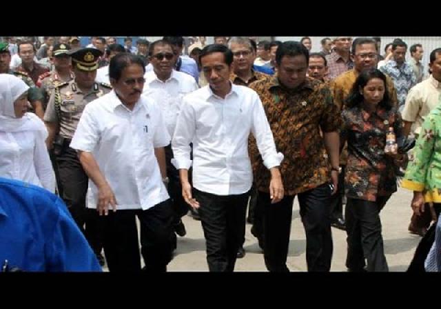 Jokowi Pastikan Pelaku Karhutla Ditindak Tegas