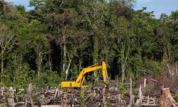 Perambah Hutan Wisata Dumai Ditahan, Dititipkan di Rutan Sialang Bungkuk