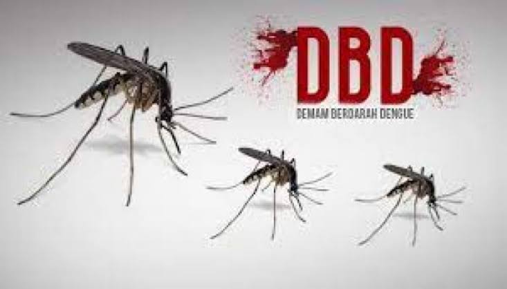 Dinkes Sebut Remaja Mayoritas Terjangkit DBD di Pekanbaru