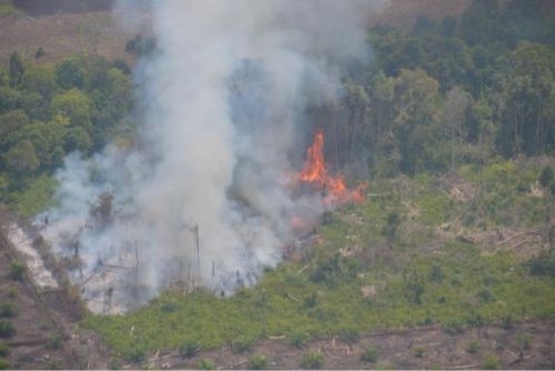 BMKG Temukan 36 Titik Api di Riau