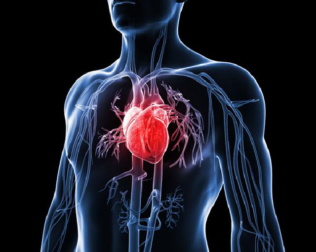 Jangan Sepelekan Jantung yang Sering Berdebar-debar